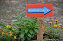 DSC_2911 (FILEminimizer)